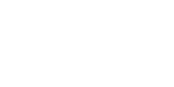 andron-logo-white-250x125